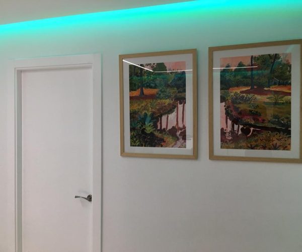 31-clinica-31